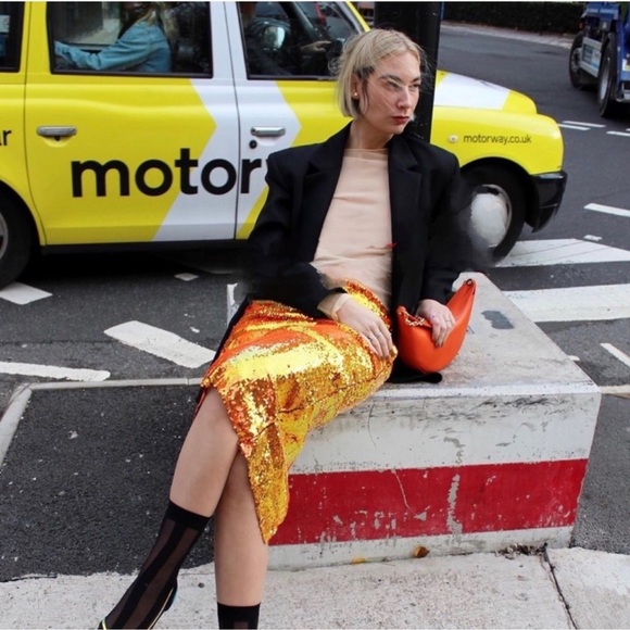 Zara Dresses & Skirts - ZARA SEQUIN KNIT SKIRT